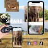 image10x50 Binoculars for Adults with Smartphone Adapter 28mm Large Eyepiece HD Waterproof Binoculars for Bird Watching Hunting Hiking Sightseeing Travel Concert Sports with BAK4 Prism FMC Lens Black